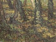 Tree Trunks with Ivy (nn04), Vincent Van Gogh